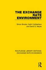 The Exchange Rate Environment