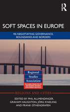 Soft Spaces in Europe: Re-negotiating governance, boundaries and borders