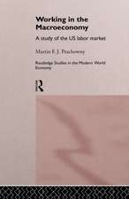 Working in the Macro Economy: A study of the US Labor Market