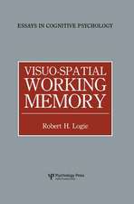 Visuo-spatial Working Memory