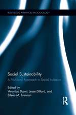 Social Sustainability: A Multilevel Approach to Social Inclusion