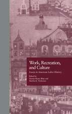 Work, Recreation, and Culture: Essays in American Labor History