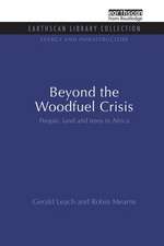 Beyond the Woodfuel Crisis: People, land and trees in Africa