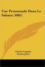 Une Promenade Dans Le Sahara (1885)