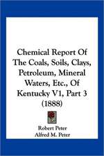 Chemical Report Of The Coals, Soils, Clays, Petroleum, Mineral Waters, Etc., Of Kentucky V1, Part 3 (1888)