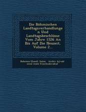 Die Böhmischen Landtagsverhandlungen Und Landtagsbeschlüsse Vom Jahre 1526 an Bis Auf Die Neuzeit, Volume 2...