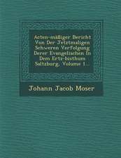 Acten-Massiger Bericht Von Der Jetztmaligen Schweren Verfolgung Derer Evangelischen in Dem Ertz-Bisthum Saltzburg, Volume 1...