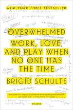 Overwhelmed: How to Work, Love, and Play When No One Has the Time