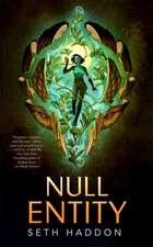 Null Entity