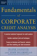 Standard & Poor's Fundamentals of Corporate Credit Analysis (PB)