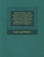 Bl�then Der Neuzeit, Oder Ausspr�che, Sentenzen Und Gleichnisse Aus Den Be�ten Und Bessern Homiletischen Und Katechetischen Werke