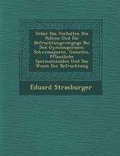 Ueber Das Verhalten Des Pollens Und Die Befruchtungsvorg Nge Bei Den Gymnospermen: Schw Rmsporen, Gameten, Pflanzliche Spermatozoiden Und Das Wesen De