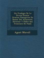 Un Prodigio De La Divina Gracia: Oracion Panegirica En Honor Del Anacoreta, Director Y Padre San Francisco De Paula