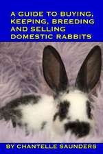 A Guide to Buying, Keeping, Breeding and Selling Domestic Rabbits: Cilla Black, Sandie Shaw & Lulu