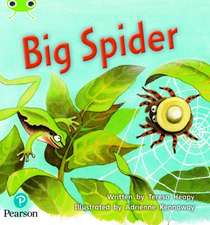 Bug Club Phonics Fiction Year 1 Phase 5 Set 27 Big Spider