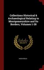 Collections Historical & Archaeological Relating to Montgomeryshire and Its Borders, Volumes 1-28