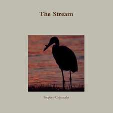 The Stream