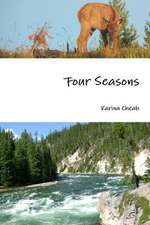 Four Seasons