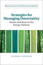 Strategies for Managing Uncertainty: Booms and Busts in the Energy Industry