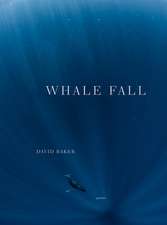 Whale Fall