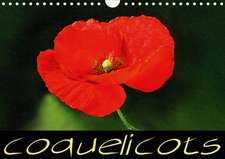 Coquelicots (Calendrier mural 2020 DIN A4 horizontal)