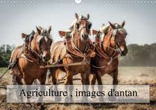 Agriculture, images d'antan (Calendrier mural 2020 DIN A3 horizontal)