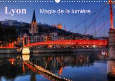 Lyon Magie de la lumière (Calendrier mural 2020 DIN A3 horizontal)