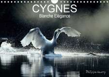 CYGNES. Blanche Elégance (Calendrier mural 2020 DIN A4 horizontal)