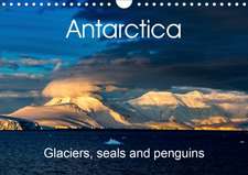 Antarctica Glaciers, seals and penguins (Wall Calendar 2020 DIN A4 Landscape)