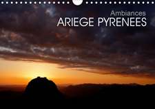 Ambiances Ariège Pyrénées (Calendrier mural 2020 DIN A4 horizontal)