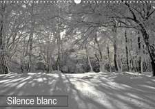 Silence blanc (Calendrier mural 2020 DIN A3 horizontal)