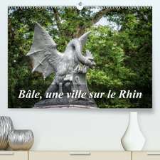 Bâle, une ville sur le Rhin(Premium, hochwertiger DIN A2 Wandkalender 2020, Kunstdruck in Hochglanz)