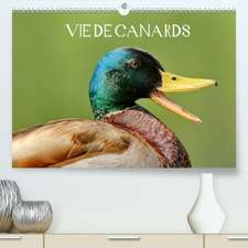 Vie de canards(Premium, hochwertiger DIN A2 Wandkalender 2020, Kunstdruck in Hochglanz)