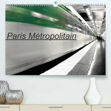 Paris Métropolitain(Premium, hochwertiger DIN A2 Wandkalender 2020, Kunstdruck in Hochglanz)