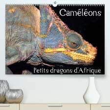 Caméléons - Petits dragons d'Afrique.(Premium, hochwertiger DIN A2 Wandkalender 2020, Kunstdruck in Hochglanz)