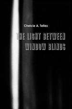 The Light Between Window Blinds