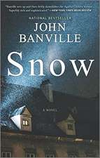 Banville, J: Snow