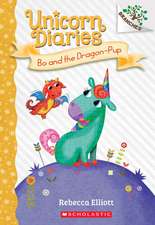 Bo and the Dragon-Pup: A Branches Book (Unicorn Diaries #2)