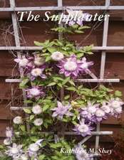 The Supplanter
