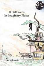 It Still Rains In Imaginary Places