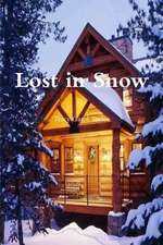 Lost in Snow