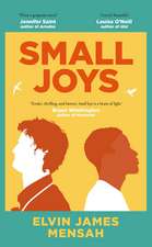 Small Joys: A Buzzfeed 'Amazing New Book You Need to Read ASAP'