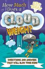 How Much Does a Cloud Weigh?