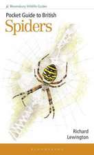 Pocket Guide to British Spiders