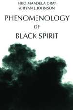 Phenomenology of Black Spirit