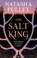 The Salt King: An end of the world thriller, packed with dazzling wit and romance