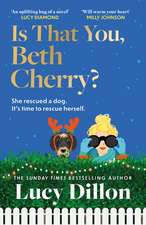 Is That You, Beth Cherry?: the warm and witty new novel from the author of Irresponsible Adult