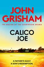 Calico Joe: The unforgettable family drama from the number 1 Sunday Times bestselling author