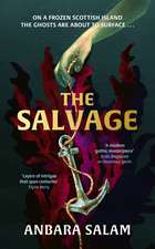 The Salvage: ‘A gothic tale with a powerful sense of place and an eerie atmosphere’ Sunday Times