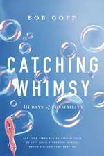 Catching Whimsy: 365 Days of Possibility (A Daily Devotional) – The Perfect Christian New Year's Resolution Gift